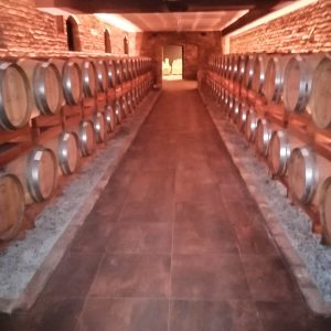 PHOTO-2021-06-03-11-29-27 2